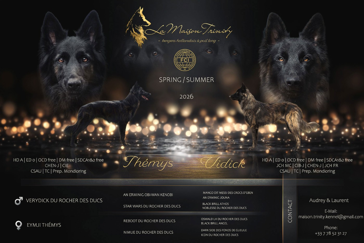 Portée 2026 ~ Thémys x Vidick